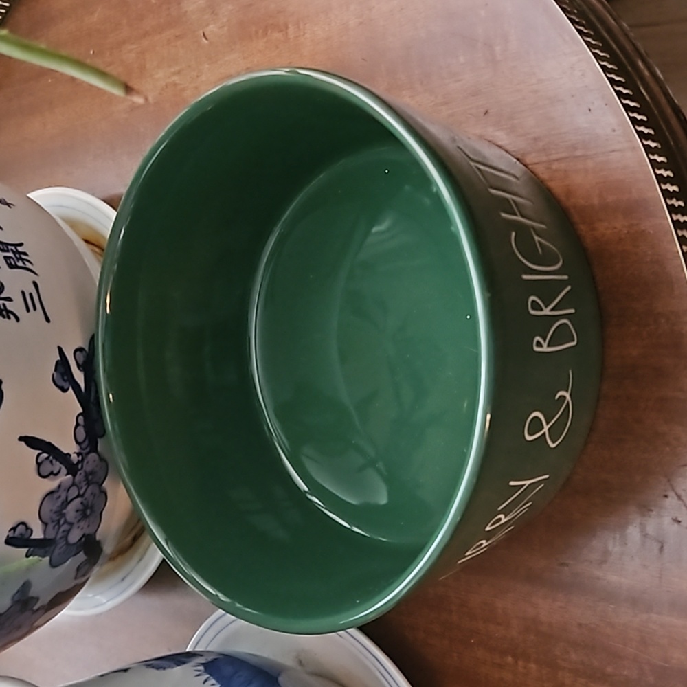 Rae Dunn Ceramic Dog Bowl-Food Container for Dogs